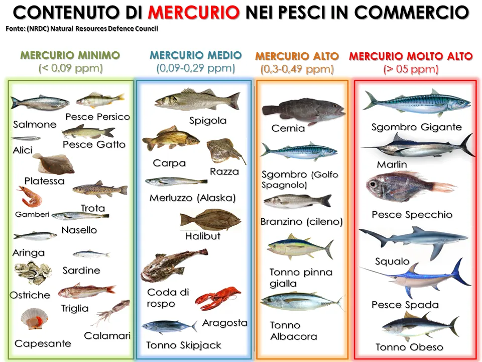 IL PESCE… Parte I: il Mercurio