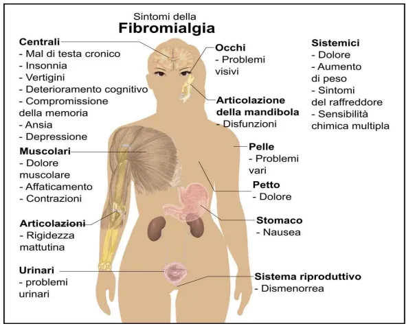 Alimentazione e fibromialgia, è possibile contribuire al miglioramento dei sintomi?