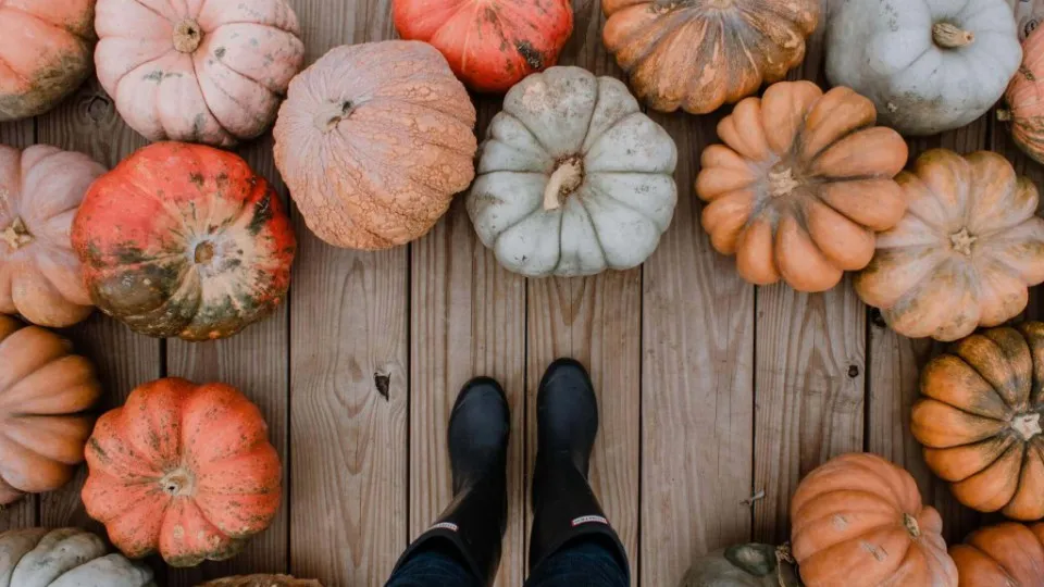 Ispirazioni autunnali: la zucca e una ricetta dolce senza glutine!