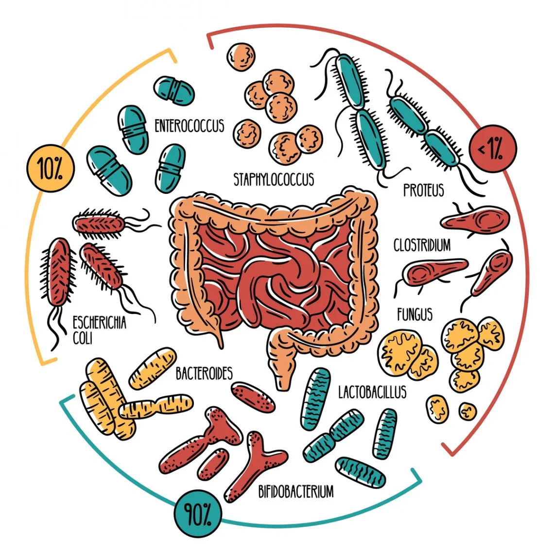 Gravidanza e… microbiota!